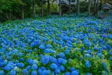 雲昌寺