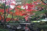 大田黒公園