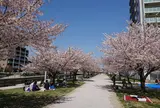 におどり公園