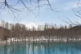 青い池