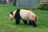 アドベンチャーワールド