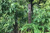 懿徳(いとく)天皇 大和の輕の境岡の宮伝承の地