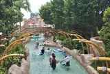 Adventure Cove Waterpark