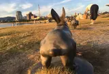 宍道湖うさぎ