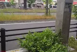 フェニックス通り