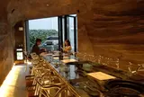 ニクノトリコ
