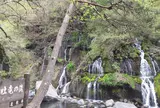 吐竜の滝