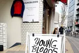 YOUNG BLOODS