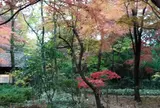 睡足軒