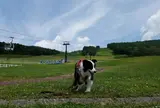 蓼科牧場ゴンドラリフト