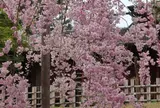 岡山後楽園