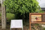 恵比寿神社・十二柱神社