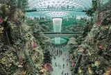 シンガポール・チャンギ国際空港（Singapore Changi International Airport）