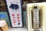 こよみ堂