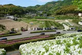 四季の郷公園