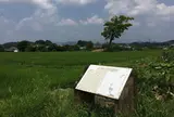 古宮遺跡(伝推古天皇小墾田宮跡)
