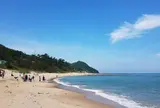 琴引浜