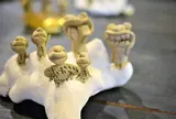 ざっかやー パパハンドー