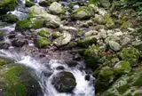 河内風穴