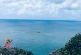 イグアナ岩