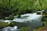 阿修羅の流れ