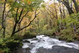 馬門岩