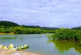 東村ふれあいヒルギ公園