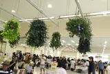 たこせんべいの里