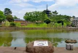 猿沢池と五十二段