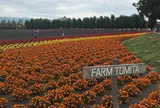 ファーム富田