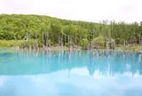青い池