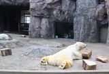旭川市 旭山動物園