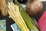 ココナッツファーム