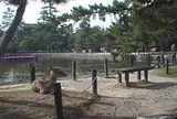 鏡池