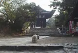 東大寺鐘楼(奈良太郎)