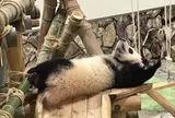 アドベンチャーワールド