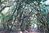芥屋の大門公園