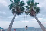 ヤシの木ブランコ