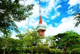 八幡山公園 宇都宮タワー