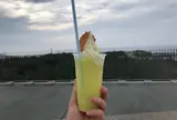 砂丘センター 見晴らしの丘
