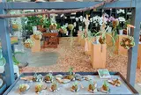 花のがっこう