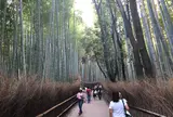 竹林の小径