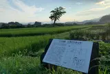 古宮遺跡(伝推古天皇小墾田宮跡)