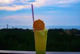 砂丘センター 見晴らしの丘