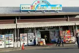 道の駅はにゅう