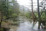 岳沢湿原