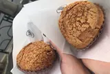 パータシュー