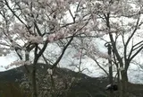 宮リバー度会パーク