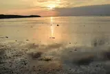 西表島