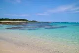 土盛海岸